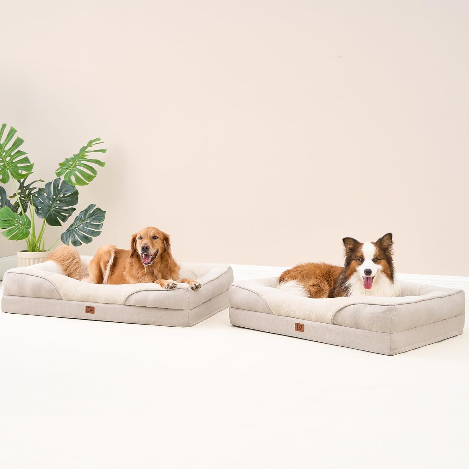 Luxuriöses Orthopädisches Hundebett für Kleine Hunde – Waschbares, Wasserdichtes Memory Foam Hundesofa mit Rutschfestem Design und 4 Stützrändern in Beige (76x51x16.5cm)