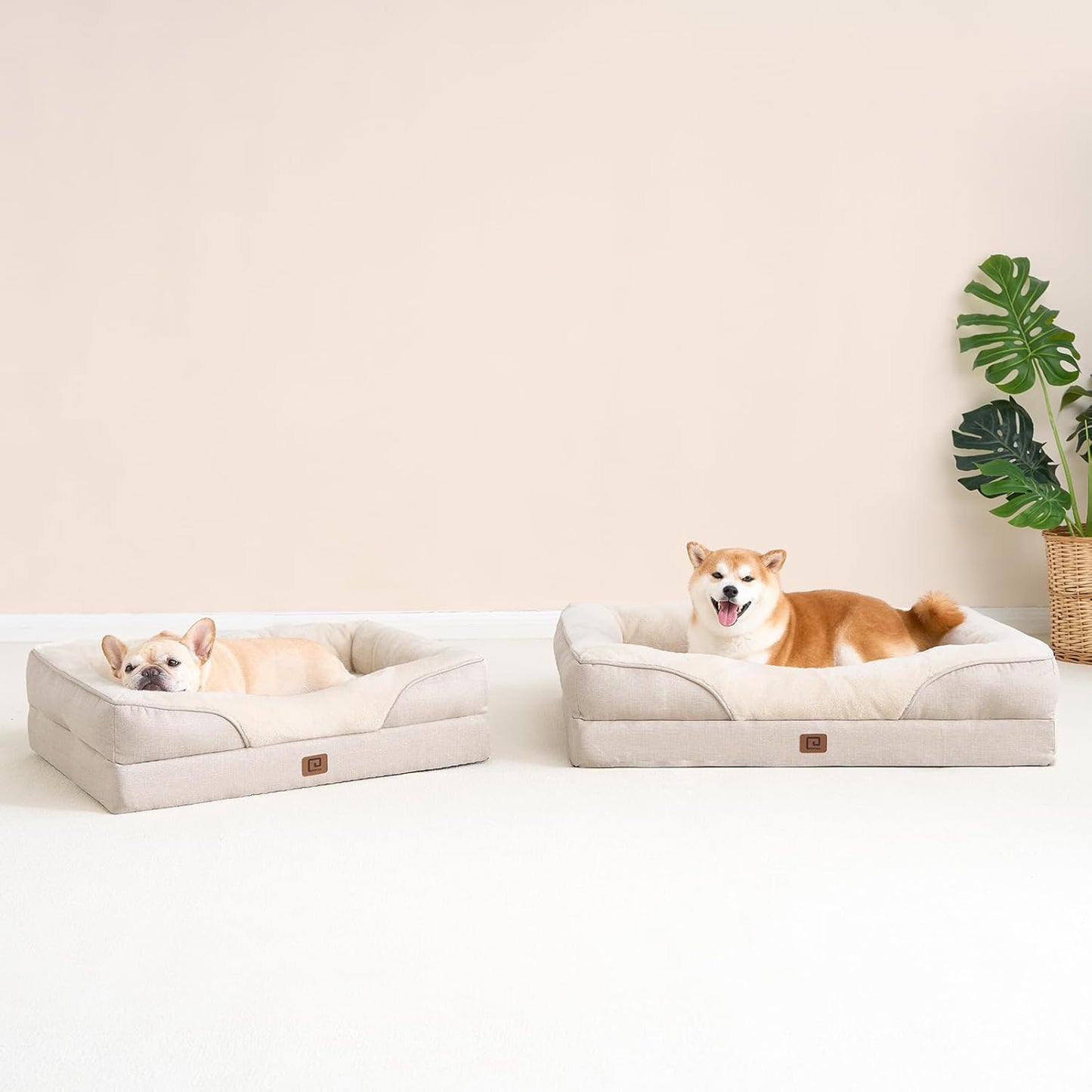 Luxuriöses Orthopädisches Hundebett für Kleine Hunde – Waschbares, Wasserdichtes Memory Foam Hundesofa mit Rutschfestem Design und 4 Stützrändern in Beige (76x51x16.5cm)