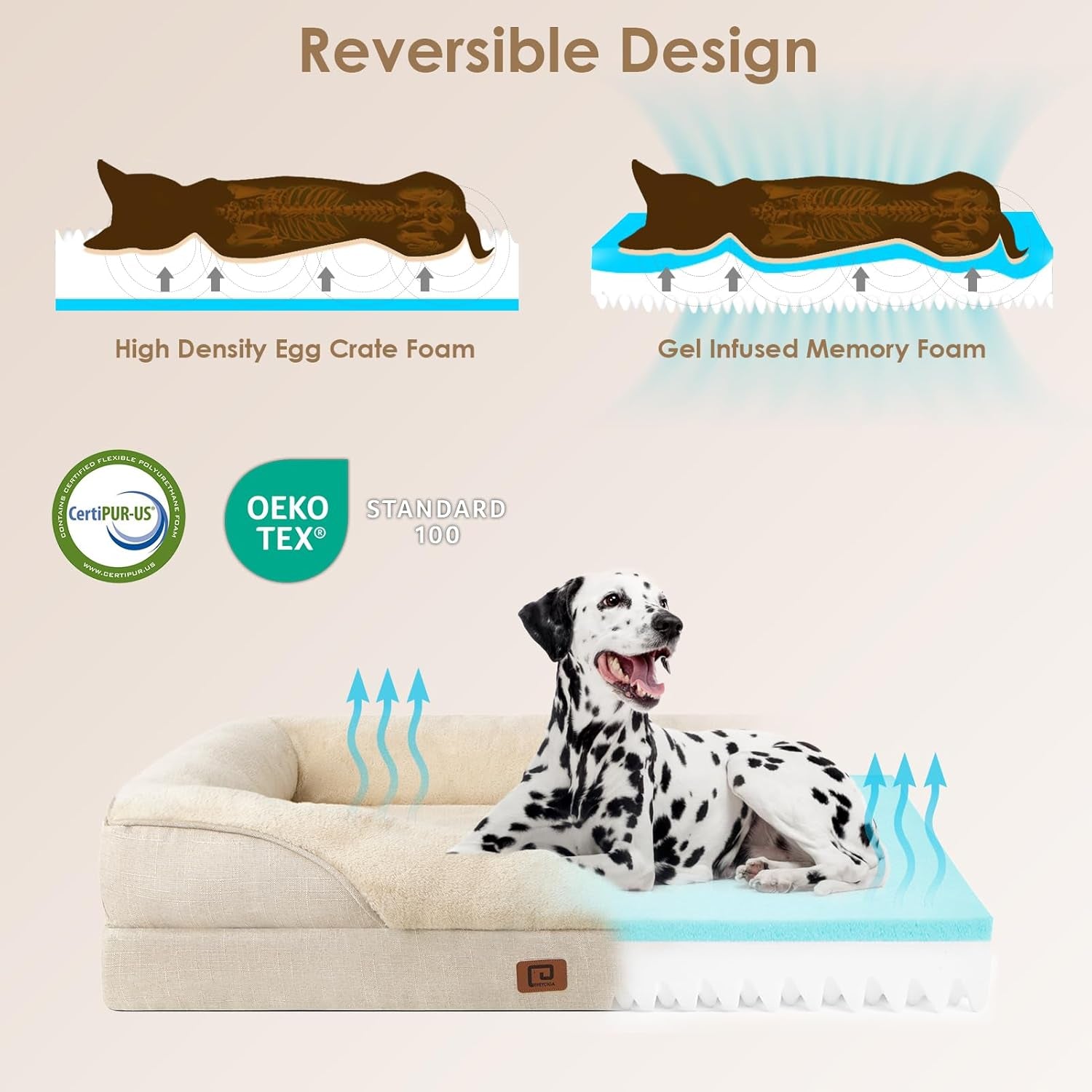 Luxuriöses Orthopädisches Hundebett für Kleine Hunde – Waschbares, Wasserdichtes Memory Foam Hundesofa mit Rutschfestem Design und 4 Stützrändern in Beige (76x51x16.5cm)